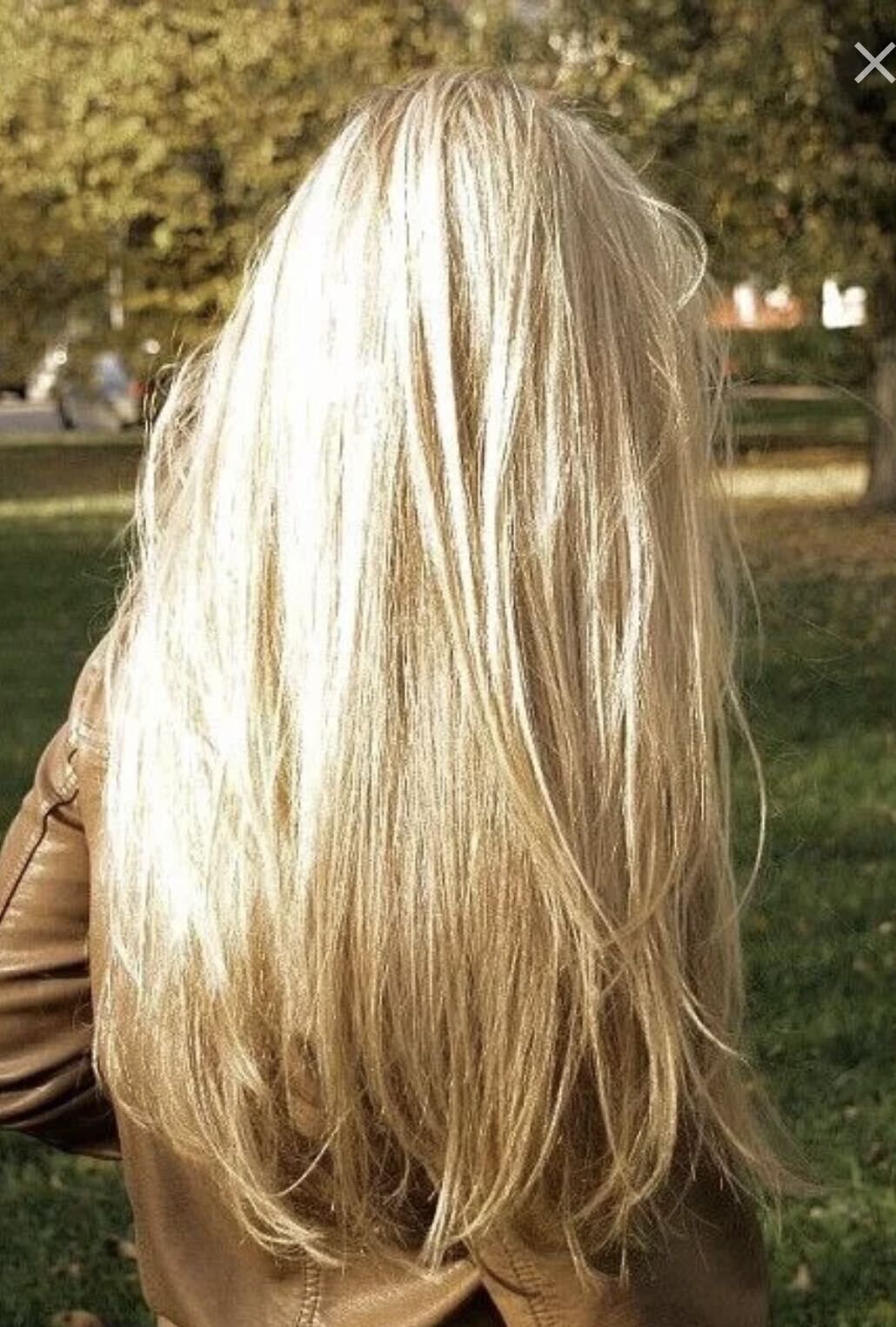 Блондинки с густыми волосами