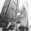 ���������� ������, ���� ����� ���������, 24 ����, ������������ ��� ������, ����� � ���������, c�������� ���������