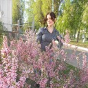 ���������� �������, ���� ������� ��������, 33 ����, ������������ ��� c�������� ���������, ���������