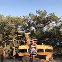 ���������� �����������, ���� ������� ����, 62 ����, ������������ ��� ����� � ���������, c�������� ���������