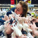 ���������� �����, ���� ������� ������, 29 ���, ������������ ��� ������, ����� � ���������, c�������� ���������