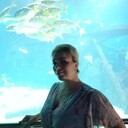 ���������� ����������, ���� ������� �������, 40 ���, ������������ ��� ������, ����� � ���������, c�������� ���������