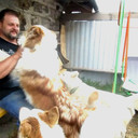 ���������� ������ �����, ���� ������� ����, 50 ���, ������������ ��� ������, ����� � ���������, c�������� ���������