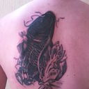 ���������� ������-��-����, ���� ������� ����, 37 ���, ������������ ��� ������, ����� � ���������, c�������� ���������