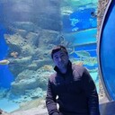 ���������� �����������, ���� ������� ������, 41 ���, ������������ ��� ������, ����� � ���������