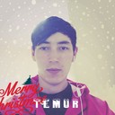 ���������� ������, ���� ������� Temur, 31 ���, ������������ ��� ������, ����� � ���������, c�������� ���������