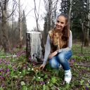 ���������� ���������, ���� ������� ���, 27 ���, ������������ 