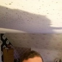 ���������� �������, ���� ������� Lev, 41 ���, ������������ ��� ������, ����� � ���������, c�������� ���������