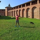 ���������� ������, ���� ������� �������, 34 ����, ������������ ��� ����� � ���������, c�������� ���������