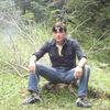  ,   Leqso, 37 ,   