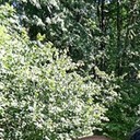 ���������� �������, ���� ������� Andrey, 39 ���, ������������ ��� ������, ����� � ���������, c�������� ���������