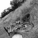 ���������� �����-���������, ���� ������� ����, 28 ���, ������������ ��� ����� � ���������, c�������� ���������