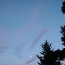 ���������� �������, ���� ������� Gigi, 37 ���, ������������ ��� ������, ����� � ���������, c�������� ���������