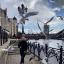 ���������� ������, ���� ������� ������, 23 ����, ������������ ��� ������, ����� � ���������