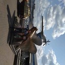 ���������� ������, ���� ������� �����, 49 ���, ������������ ��� ����� � ���������, c�������� ���������