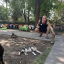 ���������� �����-���������, ���� ������� �����, 31 ���, ������������ ��� ������, ����� � ���������, c�������� ���������, ���������