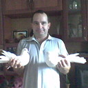  ,   , 46 ,   