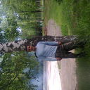 ���������� �������, ���� ������� ������, 41 ���, ������������ ��� ������, ����� � ���������, c�������� ���������