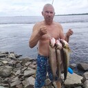  ,   , 59 ,   c 