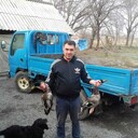 ���������� �����������, ���� ������� ������, 43 ����, ������������ ��� ����� � ���������, c�������� ���������