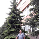  -,   , 65 ,  