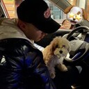 ���������� �����, ���� ������� Aleksandr, 26 ���, ������������ ��� ������, ����� � ���������