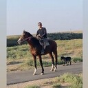  ,   Nurseiil, 25 ,   ,   