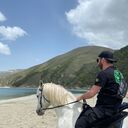 ���������� ���������, ���� ������� �����, 31 ���, ������������ ��� ������, ����� � ���������, ���������