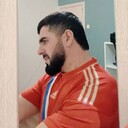 ���������� �����, ���� ������� Habib, 80 ���, ������������ ��� ������, ����� � ���������, c�������� ���������