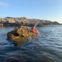  ,   Andrey, 42 ,   ,   , c 