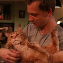 ���������� �������, ���� ������� Sandro, 36 ���, ������������ ��� ������, ����� � ���������