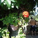  ,   , 48 ,   