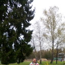  ,   , 55 ,   