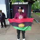 ���������� ������, ���� ������� King mbamara, 50 ���, ������������ ��� ������, ����� � ���������, c�������� ���������