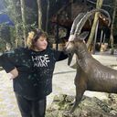 ���������� ��������, ���� ������� �������, 88 ���, ������������ ��� ������, ����� � ���������