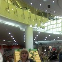 ���������� ������, ���� ������� �������, 34 ����, ������������ ��� ������, ����� � ���������, c�������� ���������