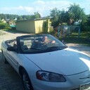 ���������� ������, ���� ������� ����, 36 ���, ������������ ��� ������, ����� � ���������