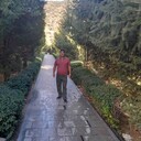  -,   DIMA, 39 ,   ,   