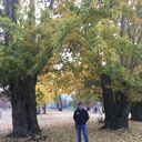 ���������� ���������, ���� ������� �����, 41 ���, ������������ ��� ����� � ���������, c�������� ���������, ���������