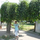 ���������� �������, ���� ������� �������, 39 ���, ������������ ��� ������