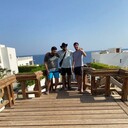 ���������� �������, ���� ������� Farrux, 32 ����, ������������ ��� ������, ����� � ���������