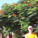 ���������� ������, ���� ������� �������, 47 ���, ������������ ��� ������, ����� � ���������, c�������� ���������