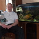 ���������� �����������, ���� ������� Rommi, 47 ���, ������������ ��� ����� � ���������, c�������� ���������