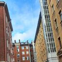 ���������� ������, ���� ������� ����, 43 ����, ������������ ��� ����� � ���������, c�������� ���������