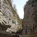  ,    , 31 ,     , c 