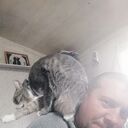 ���������� ������, ���� ������� ����, 42 ����, ������������ ��� ������, ����� � ���������