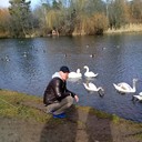  ,   , 39 ,   