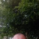  ,   Semsi, 43 ,   ,   