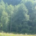 ���������� ������, ���� ������� �������, 43 ����, ������������ ��� ����� � ���������, c�������� ���������