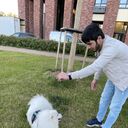 ���������� ������, ���� ������� ����, 27 ���, ������������ ��� ������, ����� � ���������, c�������� ���������, ���������